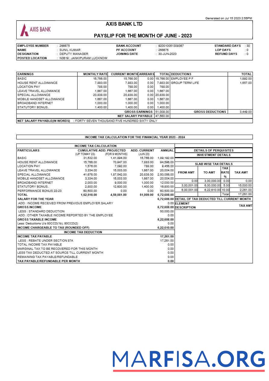 Realistic Axis Bank payslip sample